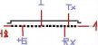 ChineseMiracle_MPEG4-K1.jpg