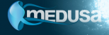 медуза.png