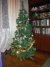 20131210_214332.jpg
