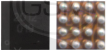 44.png