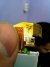 IMG_20141206_155556.jpg
