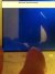 IMG_0247.JPG IMG_0247.JPG