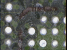vlcsnap-2015-08-01-15h09m22s142.png