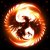 Phoenix4.jpg