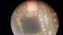 20160116_160137.jpg