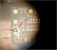Snap_2016.01.24 10.47.26_001.png