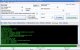 Paint.NET Image.JPG