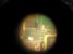 -bmr-LVQ7Dw.jpg