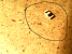 170523-165812.png