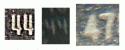 006.GIF