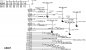 A520F_U5007.jpg