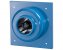 vc_lico_j790-b3_isf7-np_9vi0-gi_eif3-by.jpg