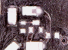 10 honor.png