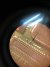 IMG-20190711-WA0001.jpg