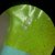 20190913_205330.Q6x2F.jpg