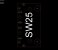 SW25.jpg