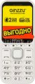 490243_v01_b.jpg