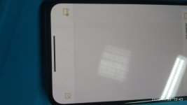 IMG_20201130_134359.jpg