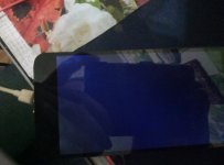 P10203-201543.jpg