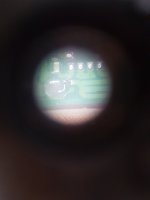 20210223_160556.jpg