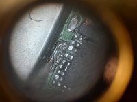 20210408_114925.jpg