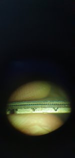 20210409_174540.jpg
