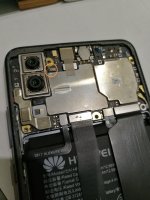 IMG_20210510_081818.jpg