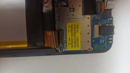 IMG_20210626_183320.jpg
