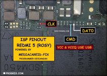 isp rosy.jpg