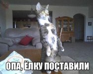 f4f72323bdaa.jpg