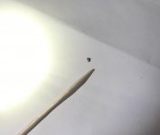 C4687B02-1CB0-4367-8631-4F39E08C1E05.jpeg