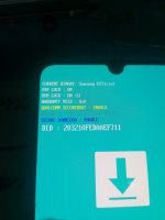 IMG_20220615_095408.jpg
