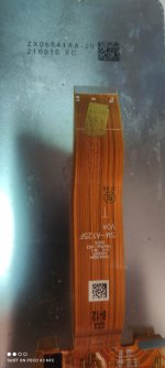 IMG_20220730_175448.jpg
