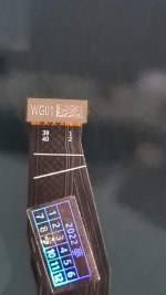 20230213_185958.jpg