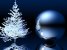 new_tree 2.jpg