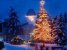 new_tree 3.jpg