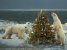 new_tree 6.jpg
