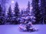 new_tree 8.jpg