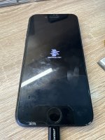 RDGK3764.JPG