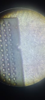 20230602_084828.jpg