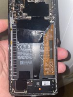 IMG_6699.jpeg