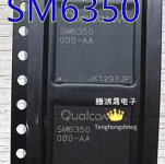 sm6350.JPG