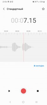 Screenshot_20240303_235609_Voice Recorder.jpg