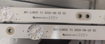 MS-L3655 V1.jpg