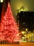2336_ssha.jpg