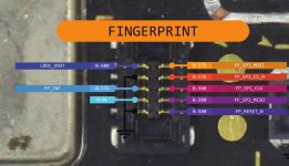Note 10S отпечаток Dioda.jpg