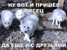 big_1673616.webp