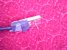IMG0058A.jpg