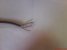 DSC00853.JPG