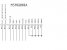 JTAG_PINOUT_MSM6800A.JPG